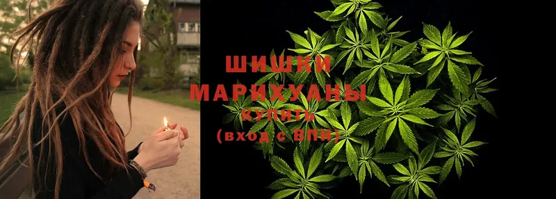 Бошки марихуана марихуана  продажа наркотиков  Златоуст 